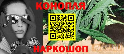 спиды Лесосибирск