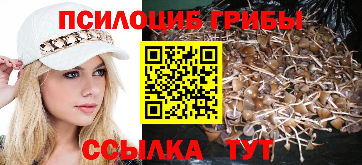 Псилоцибиновые грибы прущие грибы Донецк