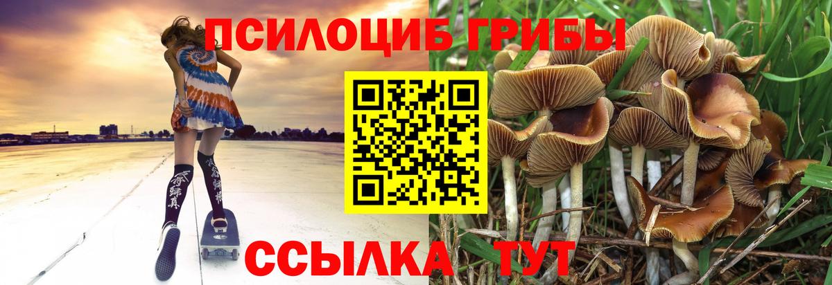 Донецк  Галлюциногенные грибы MAGIC MUSHROOMS  Вход с VPN 